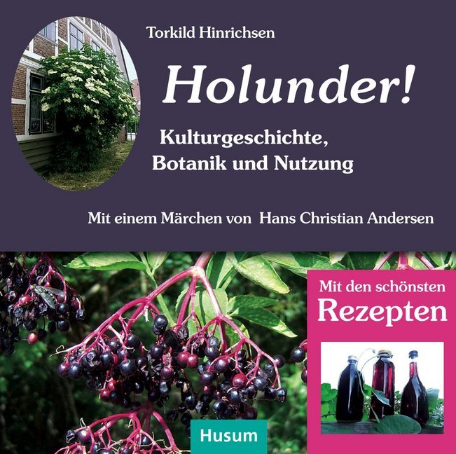 Holunder main product photo