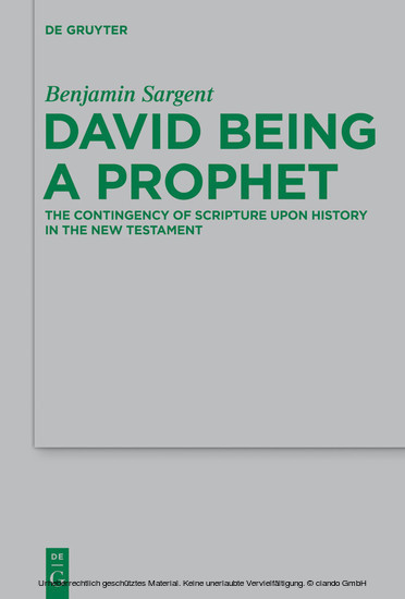 David Being a Prophet main product photo