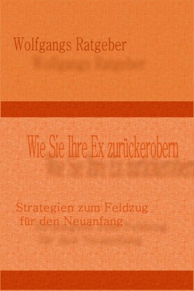 Wie Sie Ihre Ex zurückerobern