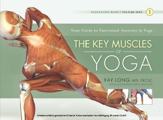 The Key Muscles of Yoga main product photo