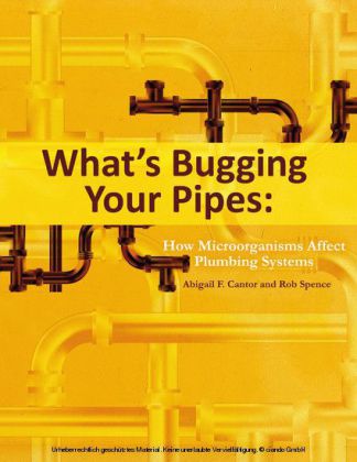 What's Bugging Your Pipes main product photo