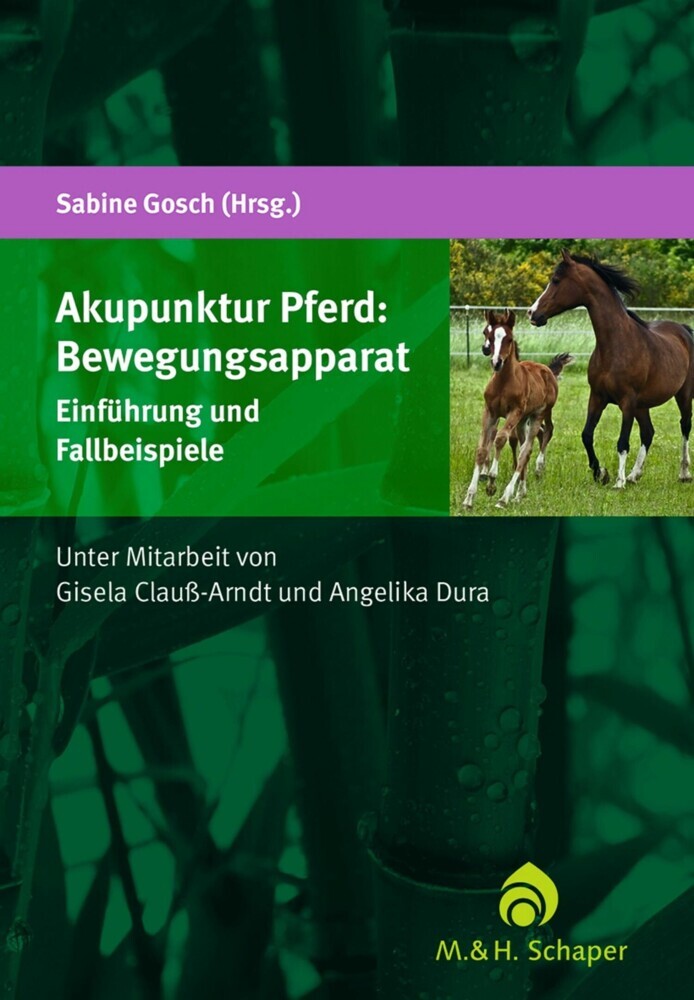 Akupunktur Pferd: Bewegungsapparat main product photo