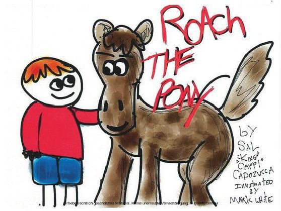 Roach the Pony main product photo