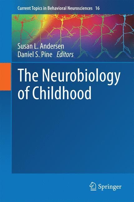 The Neurobiology of Childhood main product photo