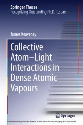 Collective Atom-Light Interactions in Dense Atomic Vapours