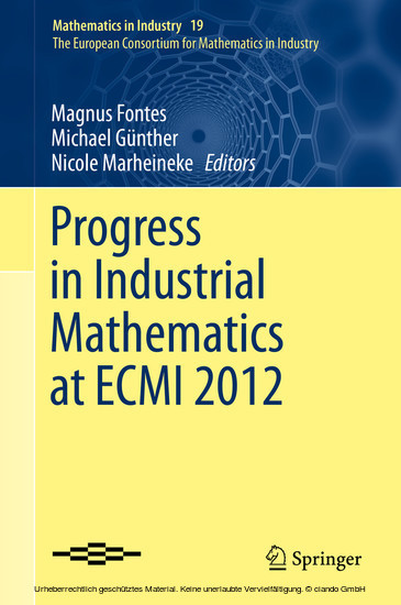 Progress in Industrial Mathematics at ECMI 2012 main product photo