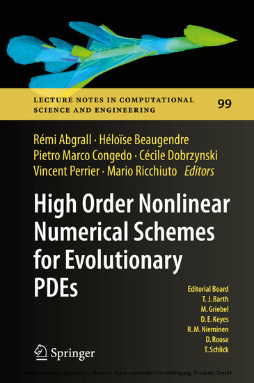 High Order Nonlinear Numerical Schemes for Evolutionary PDEs main product photo
