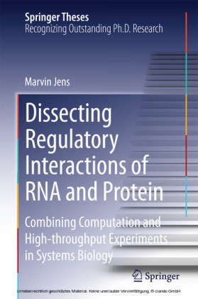 Dissecting Regulatory Interactions of RNA and Protein