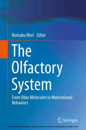 The Olfactory System