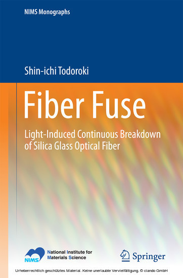 Fiber Fuse main product photo