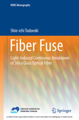 Fiber Fuse