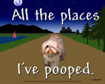 All the places I've pooped.
