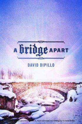 A Bridge Apart main product photo