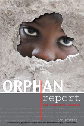 The Orphan Report - For Ministry Leaders