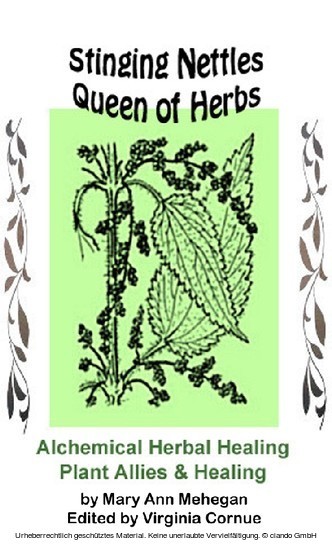 Stinging Nettles - Queen of Herbs main product photo