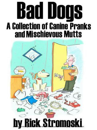 Bad Dogs