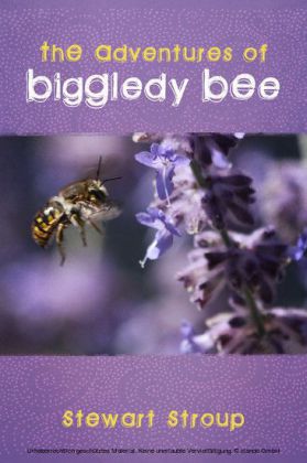 The Adventures of Biggledy Bee