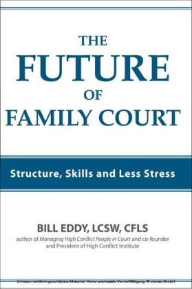 The Future of Family Court main product photo