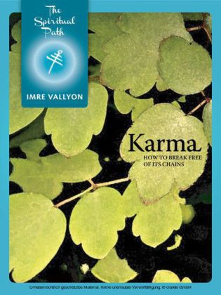 Karma main product photo