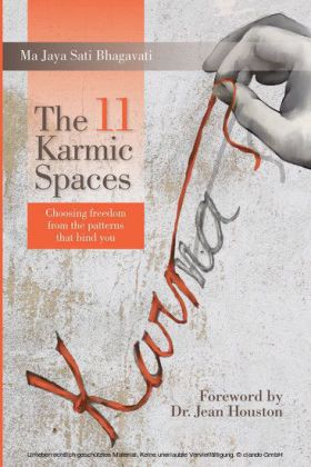 The 11 Karmic Spaces