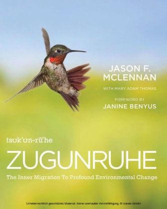 Zugunruhe