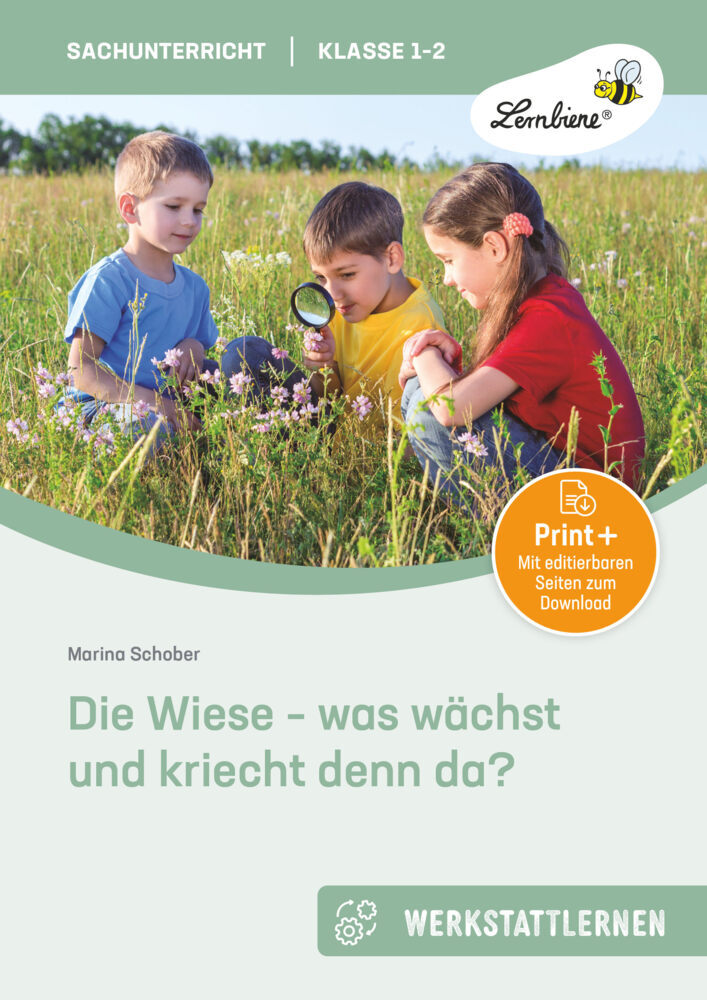 Die Wiese - was wächst und kriecht denn da? main product photo