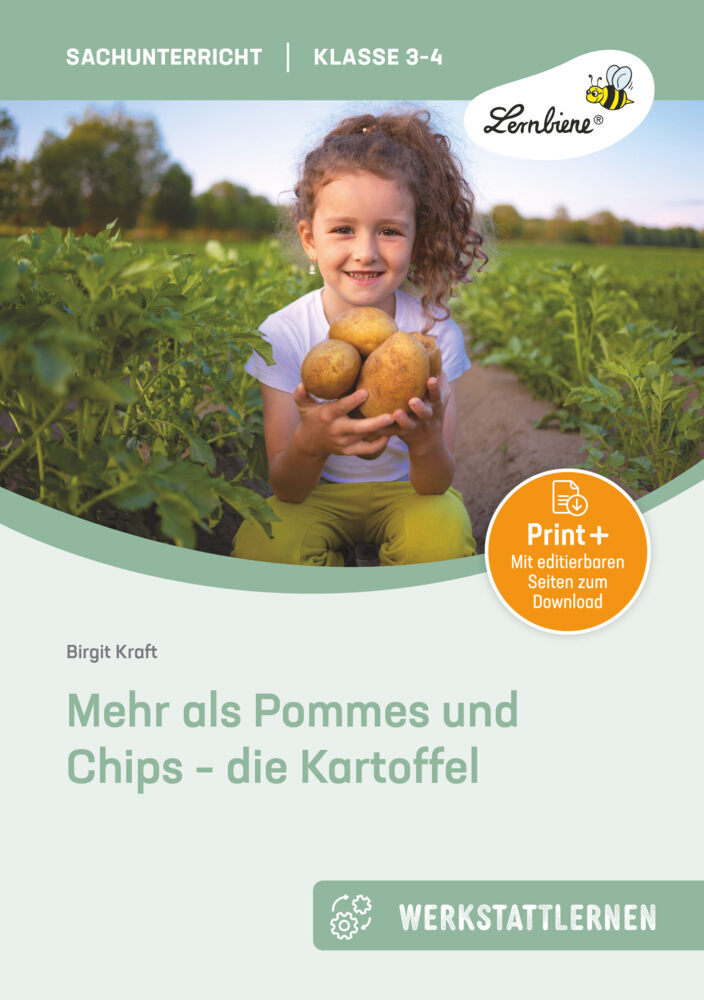 Mehr als Pommes und Chips - die Kartoffel, m. 1 Beilage main product photo