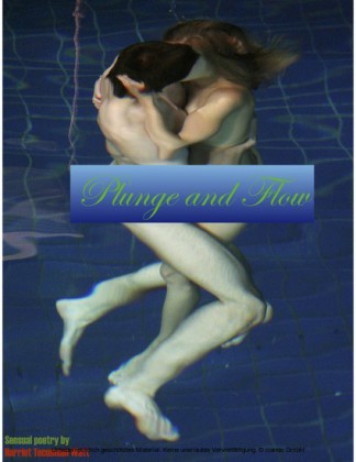 Plunge and Flow