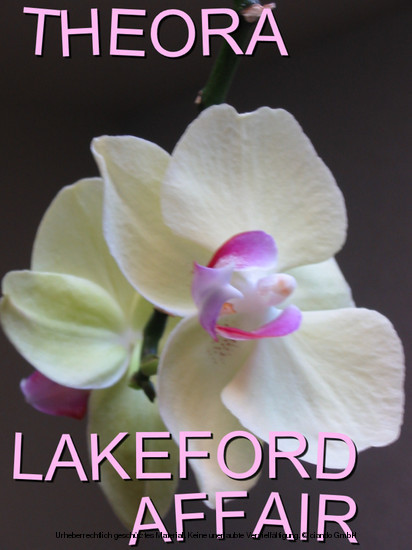 Lakeford Affair main product photo