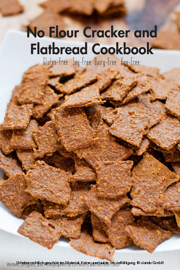 No Flour Cracker and Flatbread Cookbook main product photo