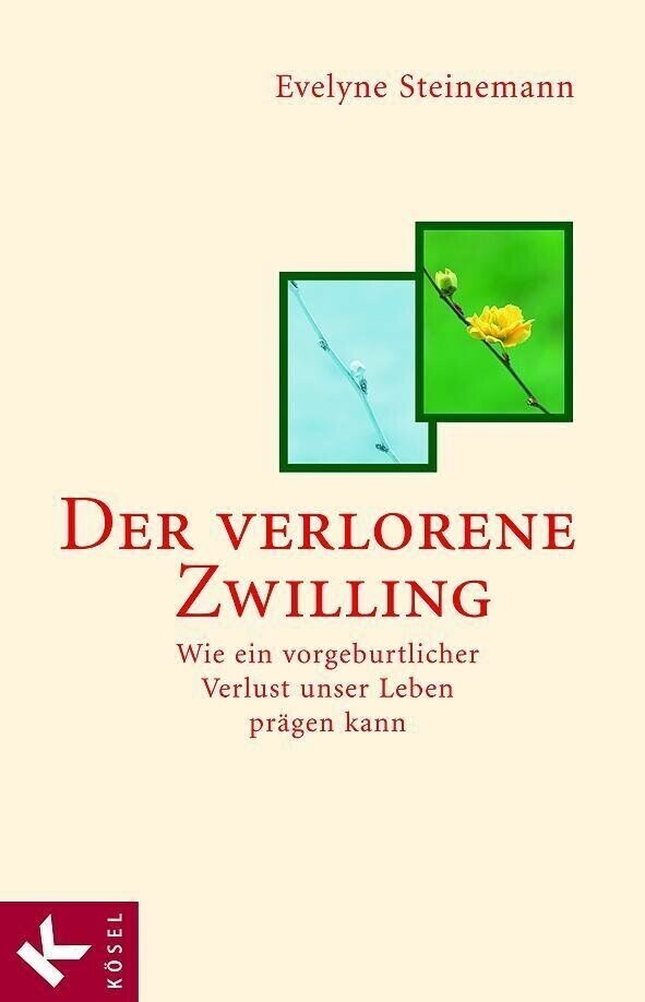 Der verlorene Zwilling main product photo