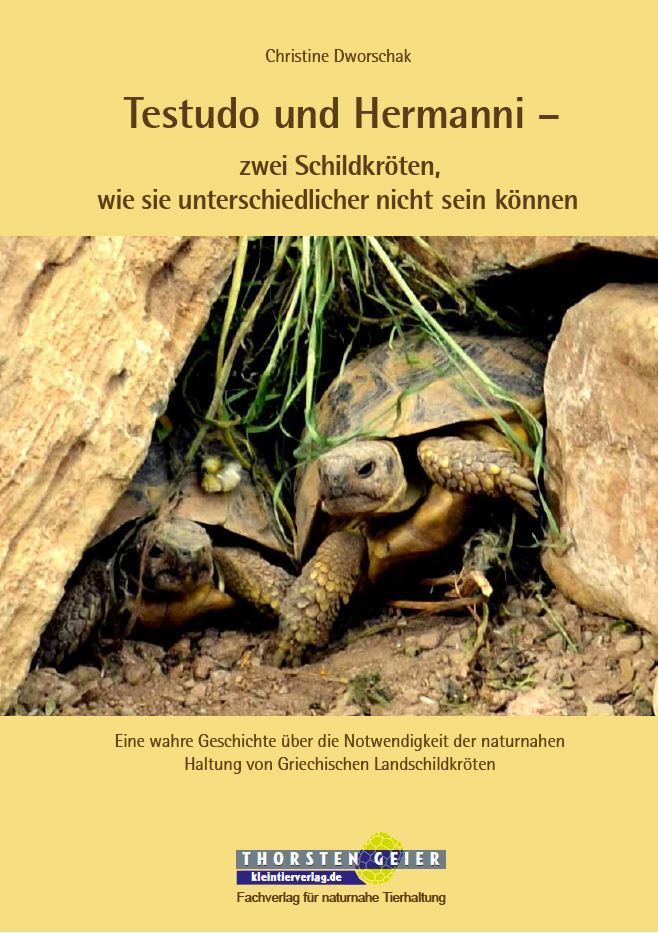 Testudo und Hermanni - zwei Schildkröten, wie sie unterschiedlicher nicht sein können main product photo