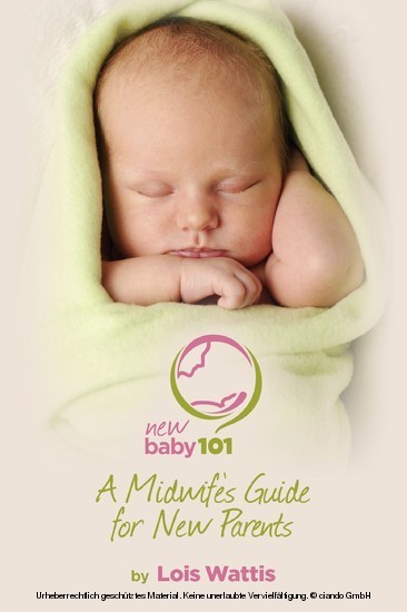 New Baby 101 - A Midwife's Guide for New Parents main product photo