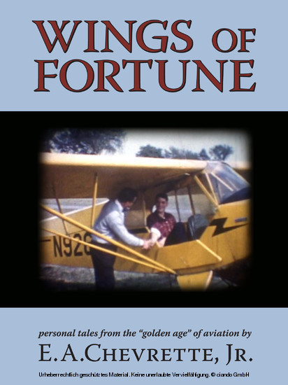 Wings of Fortune main product photo