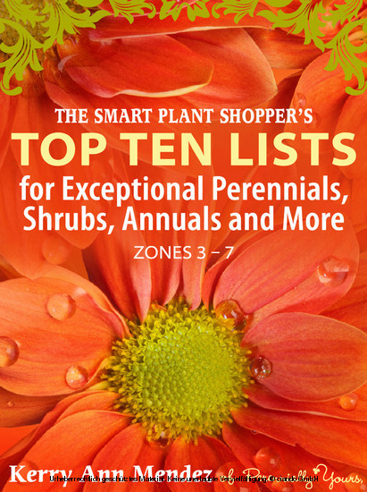 The Smart Shopper's Top Ten Lists main product photo