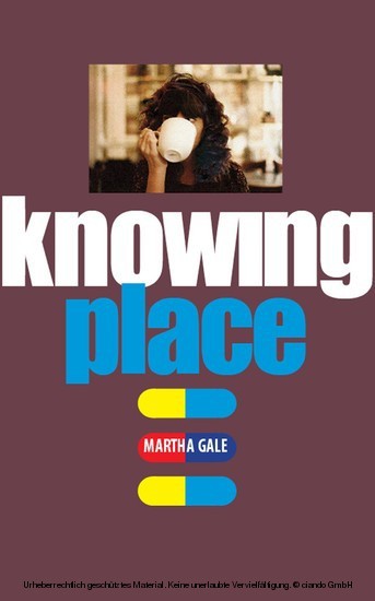 Knowing Place main product photo