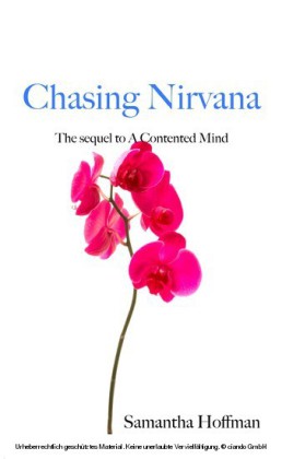 Chasing Nirvana
