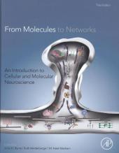 From Molecules to Networks