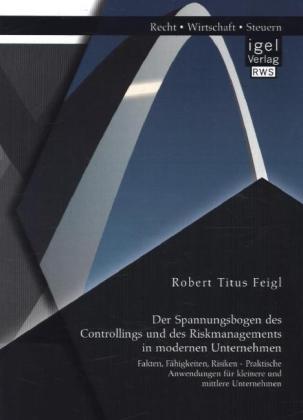 Der Spannungsbogen des Controllings und des Riskmanagements in modernen Unternehmen: Fakten, Fähigkeiten, Risiken - Praktische Anwendungen für kleinere und mittlere Unternehmen