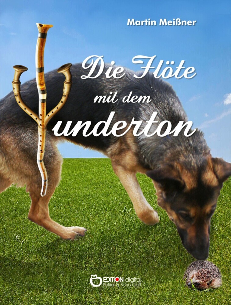 Die Flöte mit dem Wunderton main product photo