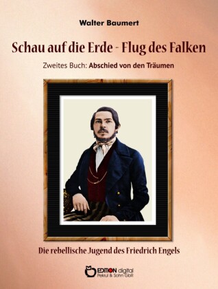Schau auf die Erde - Der Flug des Falken. Zweites Buch: Abschied von den Träumen