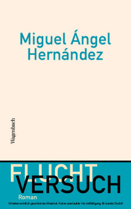 Fluchtversuch