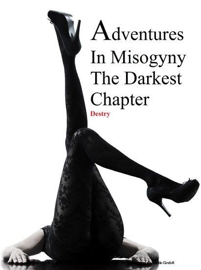 Adventures In Misogyny main product photo