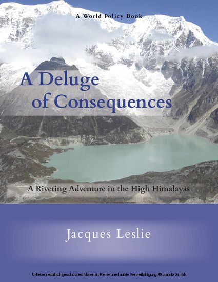 A Deluge of Consequences main product photo