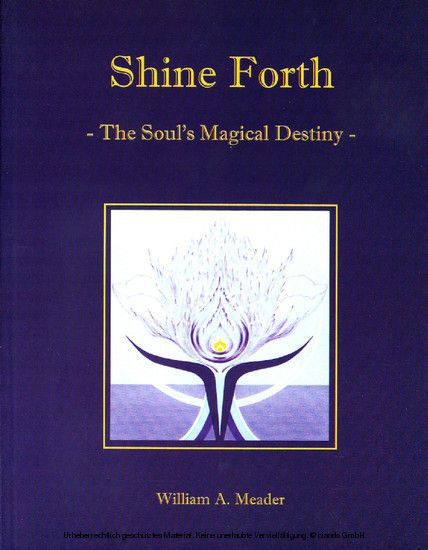 Shine Forth main product photo