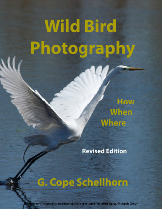 Wild Bird Photography: How, When, Where
