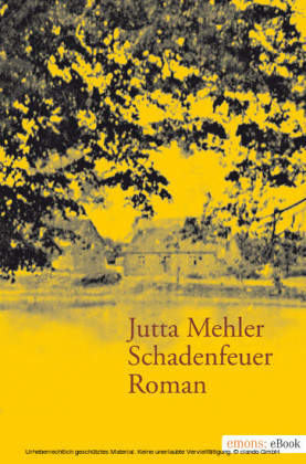 Schadenfeuer