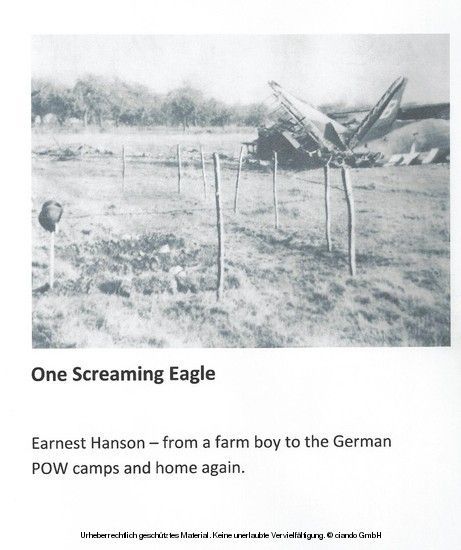 One Screaming Eagle main product photo