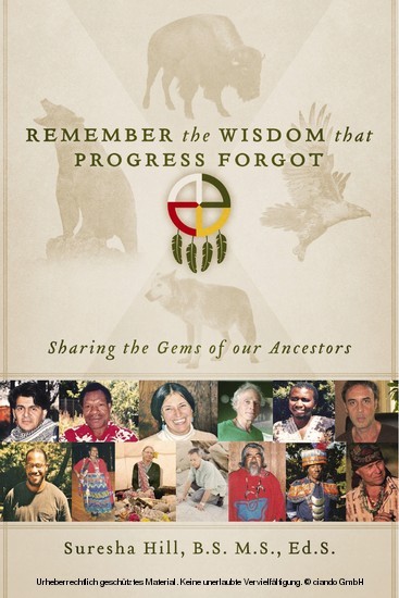 Remember the Wisdom that Progress Forgot main product photo
