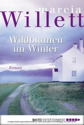Wildblumen im Winter